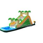 Tropical Splash Tropical Splash